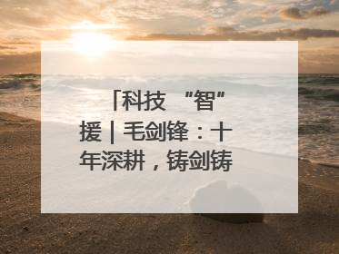 科技 “智”援｜毛剑锋：十年深耕，铸剑铸造创新之路
